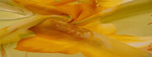 Texture, Background, Thin Translucent Silk With A Large Pattern. On A Yellow Background - Lettuce And Orange Flowers, Each With Its Own Pattern, Which Makes The Overall Composition A Bit Abstract.
