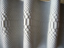Natural Python Skin Texture. Gray Haberdashery Snake Skin.
Gray Suede Matte Leather.