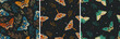 © Любовь Овсянникова - Set of seamless patterns with moths. Vector graphics. Contemporary composition. Trendy texture for print, textile, packaging.