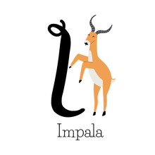 Capital Letter I For Impala, With Impala Antelope Standing On To Legs, Childish Alphabet With The Names Of Animals, Hand Drawn Vector Illustration