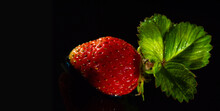 The Garden Strawberry (or Simply Strawberry; Fragaria × Ananassa) It Is Consumed In Large Quantities Either Fresh Or In Prepared Foods Such As Jam, Juice, Pies, Ice Cream, Milkshakes And Chocolate