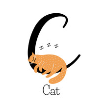 Capital Letter C For Cat, With Sleepy  Ginger Kitten, Childish Alphabet With The Name Of The Animal, Hand Drawn Vector Illustration