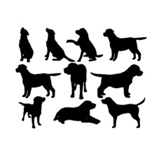 Silhouette Dogs Animals Illustration Design
