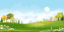 Spring Green Fields Landscape Orang, Blue Sky And Clouds Background,Panorama Peaceful Rural Nature In Springtime With Green Grass Land In Morning. Cartoon Vector For Spring And Summer Banner