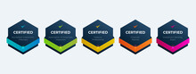 Information Technology Qualifications Certification Badge Design Template. Certified Company Examination Logo By Criteria.