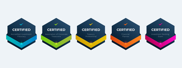information technology qualifications certification badge design template. certified company examina