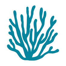 Single Element Seaweed. Print On T-shirts, Baby Cards, Invitations. Hand Drawn Marine Life Vector Illustration.