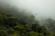 Mysterious shades of Brazilian amazon rainforest during monsoon wet season with treetops emerging out of abundant woods on a mountain slope. Climate change and natural phenomenon concept.