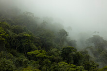 Mysterious Shades Of Brazilian Amazon Rainforest During Monsoon Wet Season With Treetops Emerging Out Of Abundant Woods On A Mountain Slope. Climate Change And Natural Phenomenon Concept.