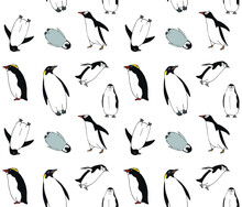 Vector Seamless Pattern Of Hand Drawn Doodle Sketch Colored Penguins Isolated On White Background