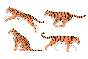 Canvas Print - Vector set of hand drawn flat tigers isolated on white background