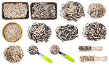 Set Of Various Sunflower Seeds Cutout On White