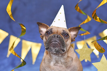 Wall Mural - French Bulldog dog wearing New Year's Eve party celebration hat in front of blue background with golden garlands