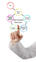 Wall Mural - Components of Persistent Pain Cycle