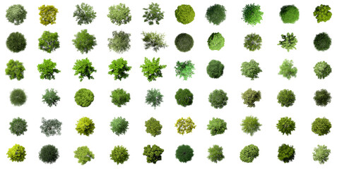 big collection of 3d top view green trees isolated on white background , use for visualization in ar