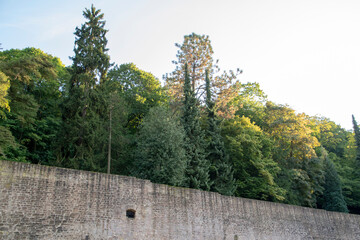 Wall Mural - Landscape of woodland pine scene at Heidelberg castle Baden Wurttemburg Germany