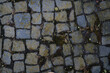Background image of detailed texture of old paving stones