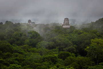 Sticker - Panorama of Tikal National Park