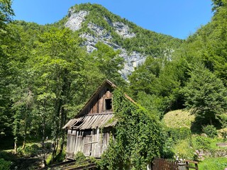 Old sawmill plant with water turbine or mill of the Kovač family, Zamost - Gorski kotar, Croatia (Stari pogon žage sa vodenom turbinom ili mlin obitelji Kovač, Zamost - Gorski kotar, Hrvatska)