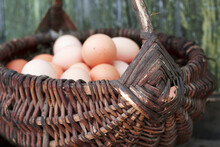 Rural Handmade Basket With Fresh Brown Eggs