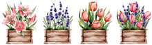 Set Of Spring Flowers In Wooden Boxes. Lily, Tulips, Lavender. Great For Stickers, Postcards, Decor And More.