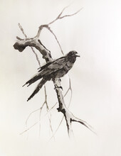 A Raven Sits On A Dry Branch. Illustration In Traditional Oriental Style.