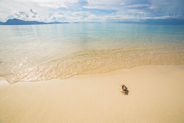 Poster - Crab on a beautiful beach with turquoise water Sibuan island, Borneo