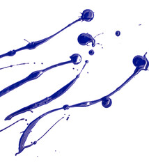 Wall Mural - Blots of blue paint on a white background.