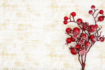 Wall Mural - Christmas background with holly berry branch on grunge white and gold