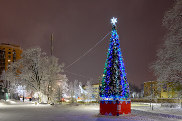 Wall Mural - Christmas tree in the 