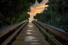 A Wet Wooden Walkway Leading Through Tropical Foliage Toward A Colorful Sky At Sunrise.
