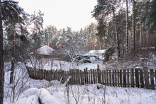 Winter Village Landscape. A House Behind A Fence In A Snow-covered Pine Forest.  The Sun's Rays Break Through The Tree Trunks.