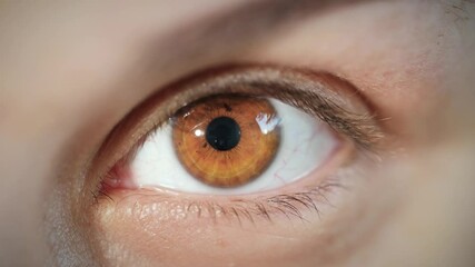 macro extreme close up beautiful female brown eye with dilated pupil shrinking. natural portrait of 