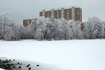 Wall Mural - Winter in the city. View of the frozen river and the park on the riverbank. City of Balashikha, Moscow oblast, Russia.