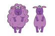 Vector illustration of a purple woolen and shorn sheeps isolated on white background.