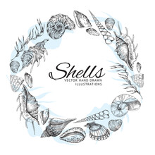 Vintage Sea Shells Banner Layout With Circle Frame, Etched Vector Illustration.