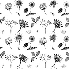 Seamless Repeat Pattern With Flowers And Leaves In Black On White Background. Hand Drawn Fabric, Gift Wrap, Wall Art Design.