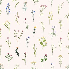 Wall Mural - wild flowers pattern. seamless floral background. repeating botanical print with spring blooms, plan