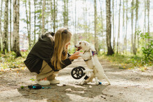 Girl Holding Paws Of Disabled Dog In Birch Grove