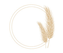 Pampas Dry Grass Circle Frame. Branch Of Pampas Grass. Panicle, Feather Flower Head. Vector