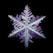 © kichigin19 - snowflake isolated on black background natural photo crystal winter design