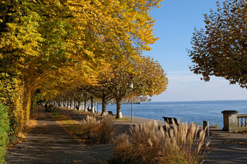 Wall Mural - Konstanz am Bodensee, Herbst am Seeufer