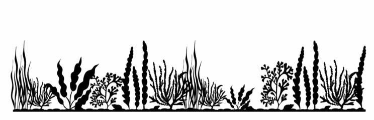 Wall Mural - silhouette seaweed black isolated, vector