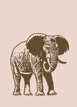 Graphical Vintage Elephant, Asian And African Animal. Sepia Background.Vector Drawing