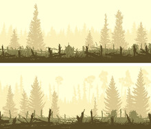 Set Of Horizontal Banners With Silhouettes Of Driftwood Trunks With Coniferous Undergrowth Forest.