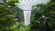 Changi Airport Waterfall 03. High quality video footage