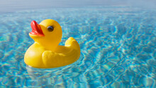 Rubber Duck Floating On Calm Water Surface