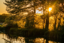 USA, Idaho, Bellevue, Sun Shining Though Trees By Pond