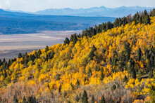 USA, Idaho, Stanley, Fall Foliage In Mountains Near Sun Valley