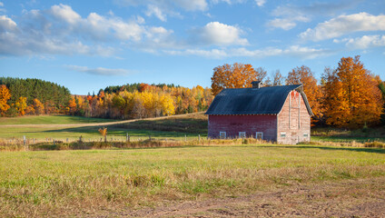 Wall Mural - an old barn in a field with trees in autumn color on a bright afternoon in rural michigan